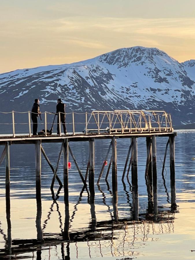 Skittenelv Lodge & Camping Tromsø Dış mekan fotoğraf