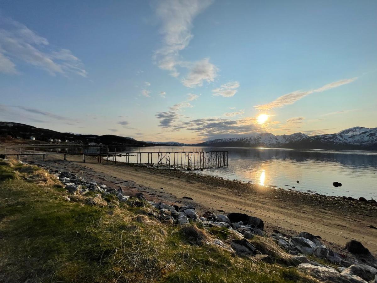 Skittenelv Lodge & Camping Tromsø Dış mekan fotoğraf